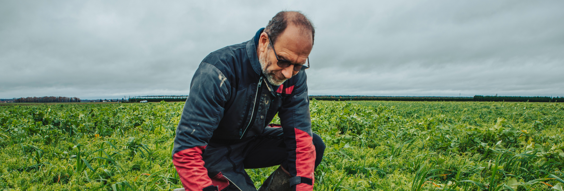 Exploitation agricole d’Hervé Aribaud